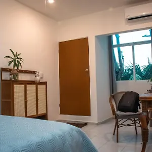 https://hostal-cuca-macuca.allrivieramayahotels.com